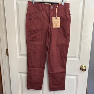 Democracy, Ab Technology, stretch waist, women’s cargo pant rust color